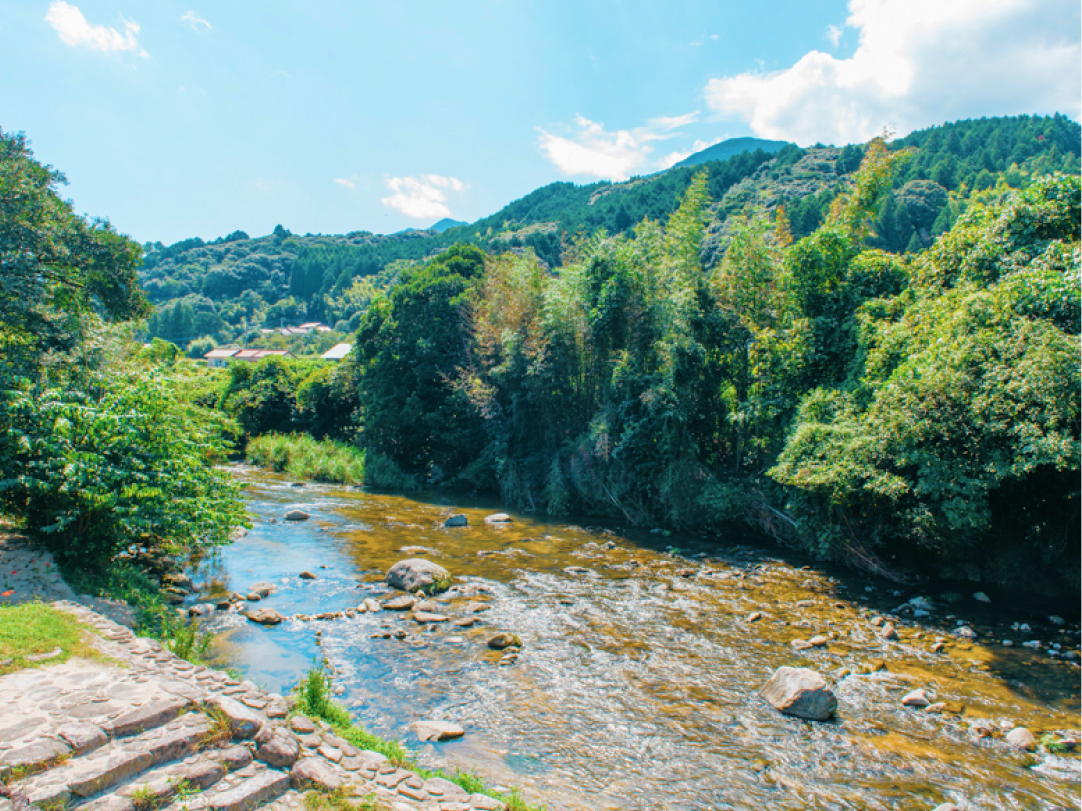 写真：川の様子