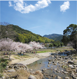 写真:那珂川の様子02